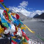 Tibet Travel Profile Picture