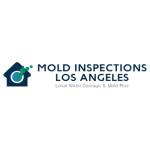 Moldinspections Profile Picture