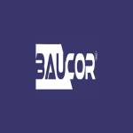 Baucor De Profile Picture