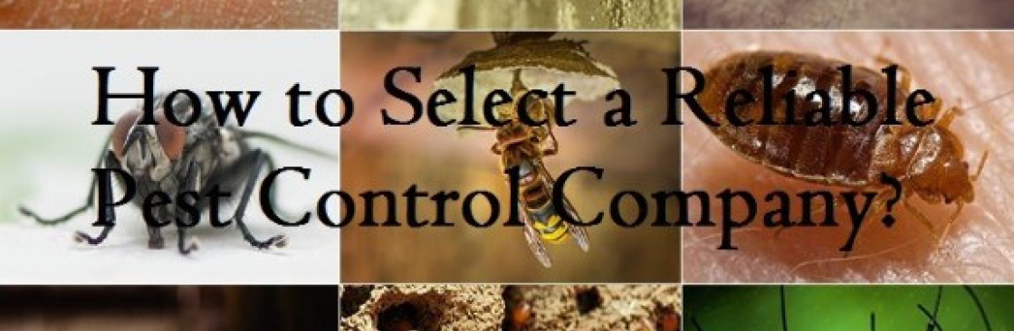envirosafepest control Cover Image