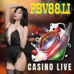 Nha CAi Pbv88 Profile Picture