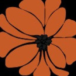 Hair joy shop Profile Picture