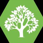 Mcauley Surgery Profile Picture