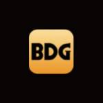 BDG Games Profile Picture