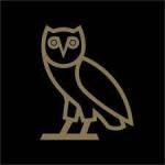 OVO Collegiate Hoodie Profile Picture