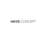 Haysconcept Profile Picture