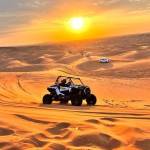 uae desert safari Profile Picture