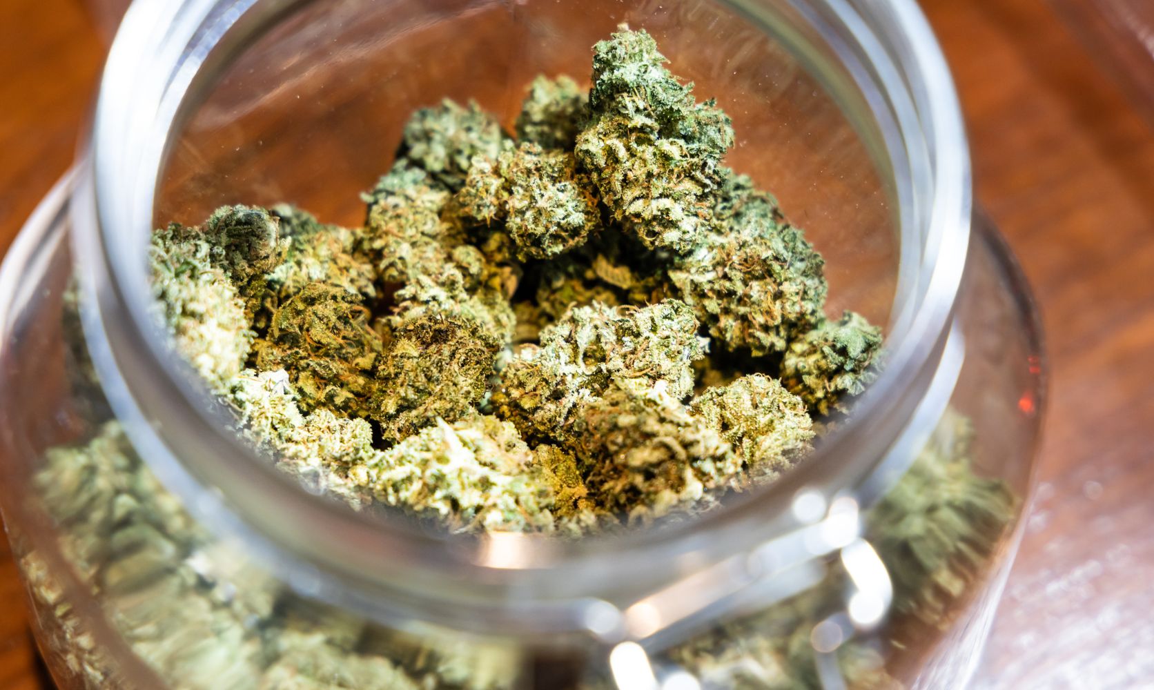 The Ultimate Hack to Top-Shelf Weed? Buying Cannabis Online in Canada at This Online Dispensary