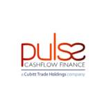 Pulse Cashflow Finance Ltd Profile Picture