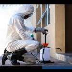 Black Wood Pest Solutions
