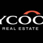 Tycoon Real Estate