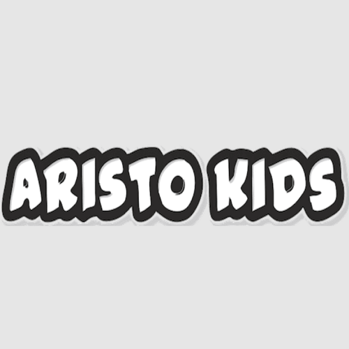 How to Pick the Best Education Franchise for You – Aristo Kids