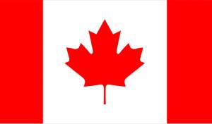 Scale Your Brand with the Best Digital Marketing Company in Chandigarh