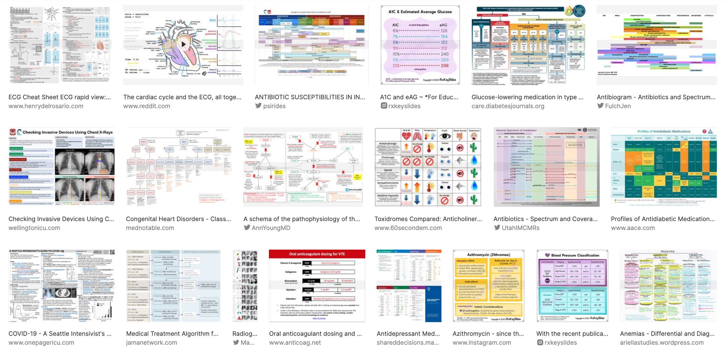 The Royal Palm @royalpalmny | GrepMed