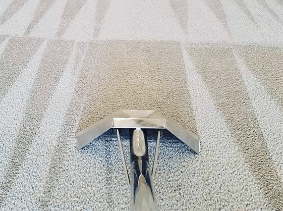 Carpet Cleaning Colchester CO1 | 22 000+ Positive Reviews