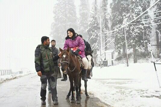 Best Horse Riding in Manali