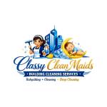classy clean expert