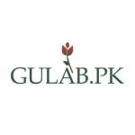 Gulab PK