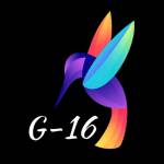 G-16 Store