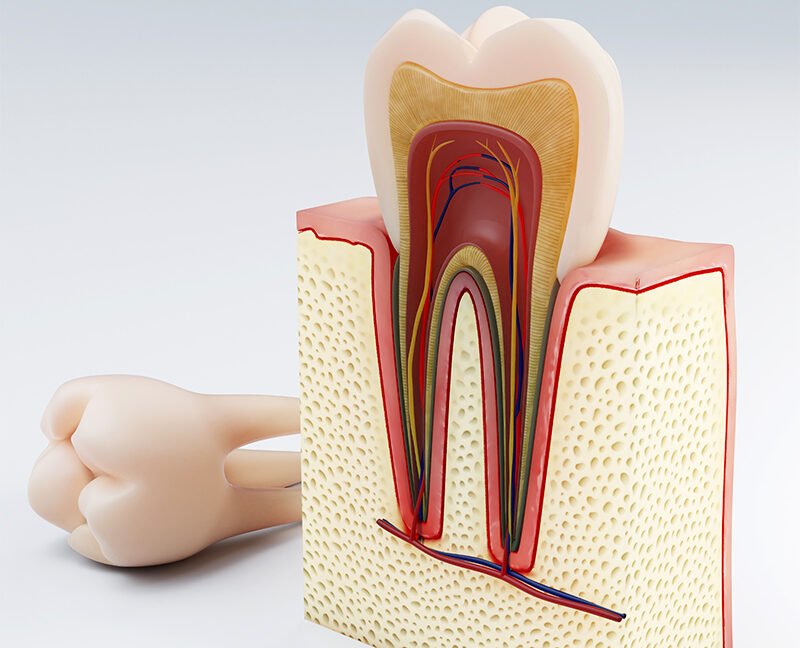Retainers Abu Dhabi City | Keep Your Smile Aligned