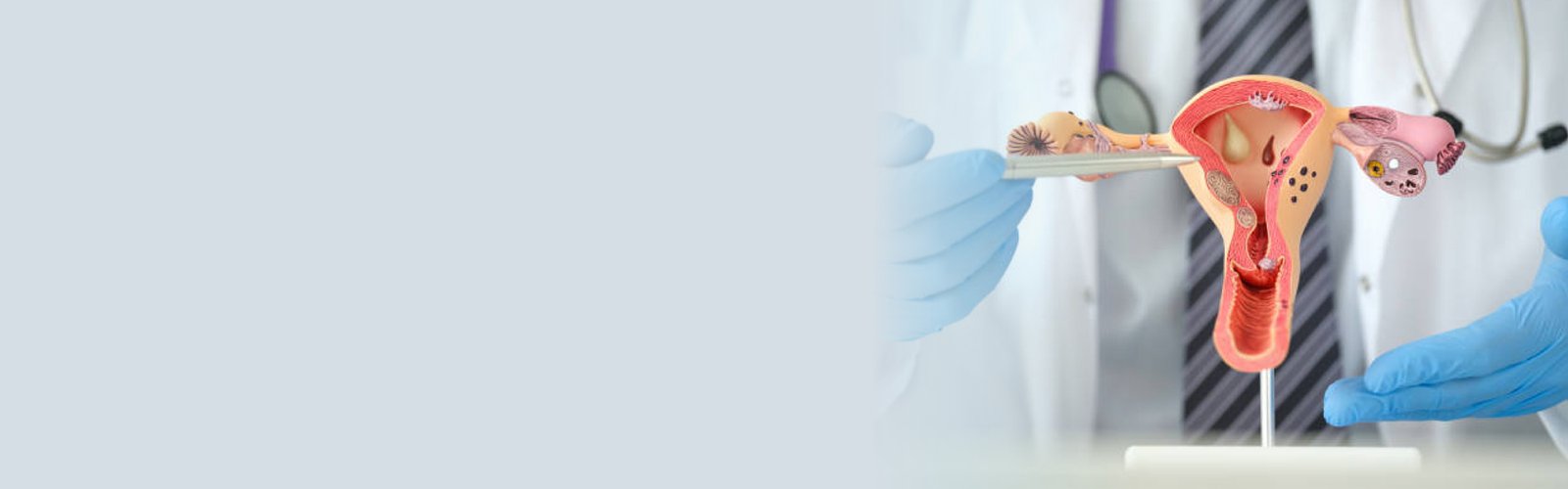 Obstetrics & Gynecology services at Fortis BG Road, Bangalore | Dr. Manisha Rajpal Singh