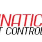 Pest Control Caterham