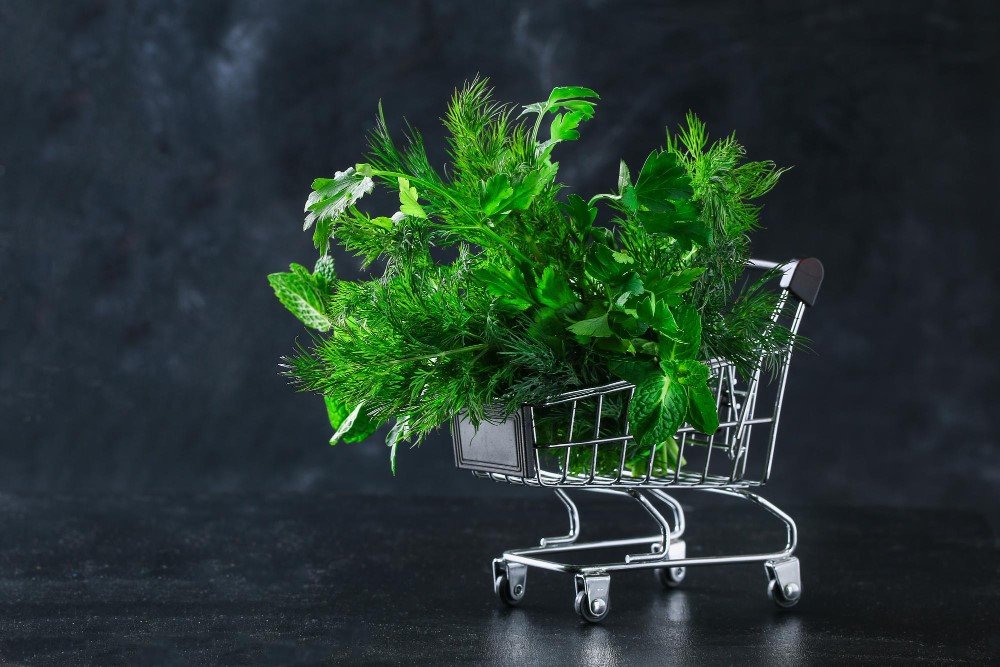 Buy Sativa Weed Online: What Are You Actually Getting?