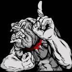 Mad-Dog's Drywall and Painting Services Inc