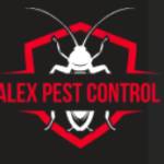 Pest Control Bromley