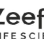 zeeford