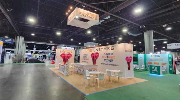 Top Exhibition Stall Design Company for Creative Booths - Free Instant Approval Guest Posting Website