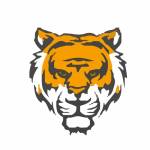 tiger exchange 247 login registration number