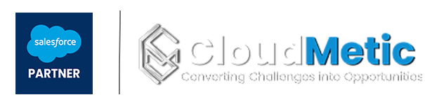 Best Salesforce Service Provider in USA - CloudMetic