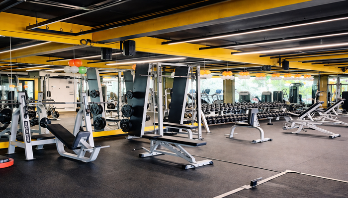 Why Choosing the Right Gym Can Transform Your Fitness Journey - JustPaste.it