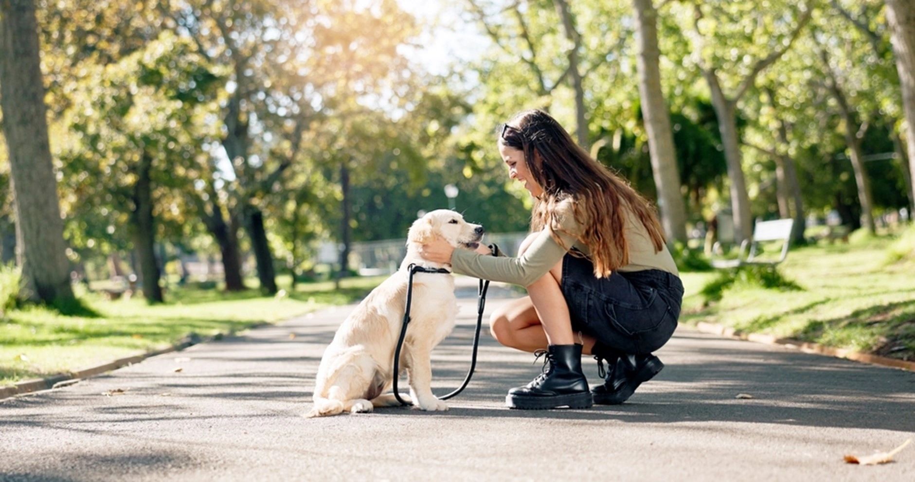 Can Pet Boarding in Hoboken Help Ease Separation Anxiety?