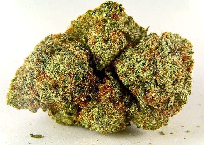 Is a Cannabis Dispensary in North York Really Just a Click Away?