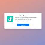 Tiktok Video Downloader