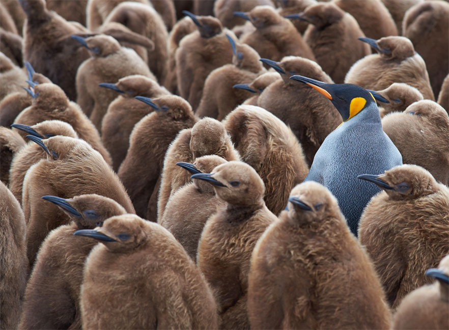 The Ultimate Guide to SEO Success: Top Tips for 2023! | San Francisco Web Design