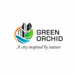 Green orchid