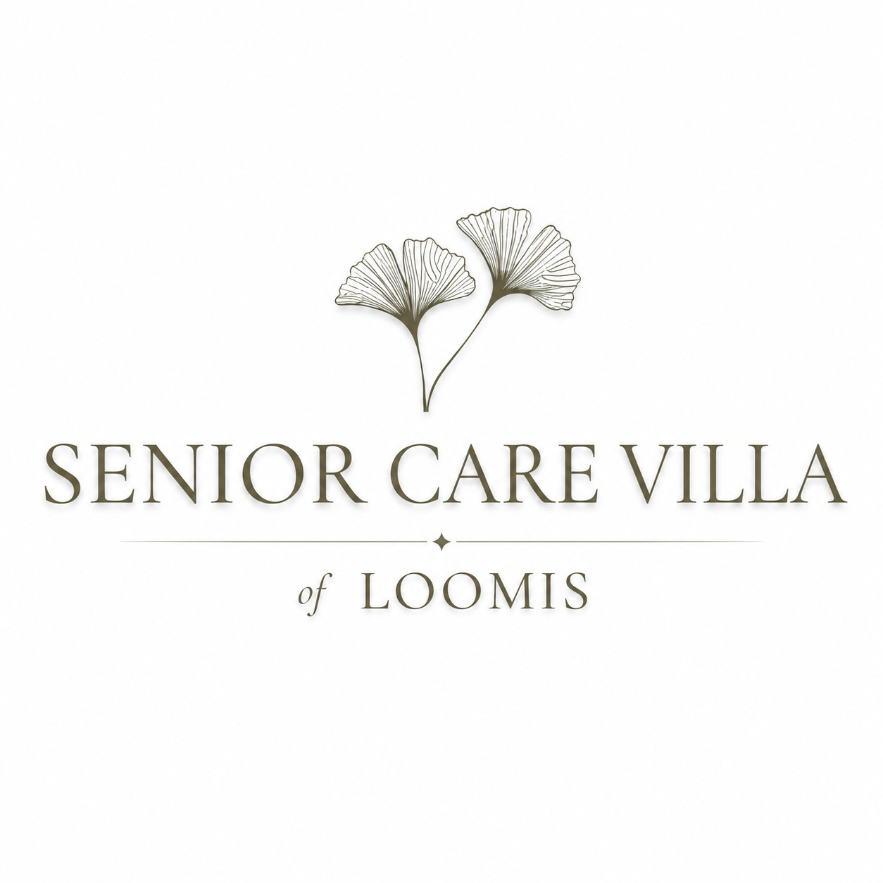 Senior Care Villa Of Loomis