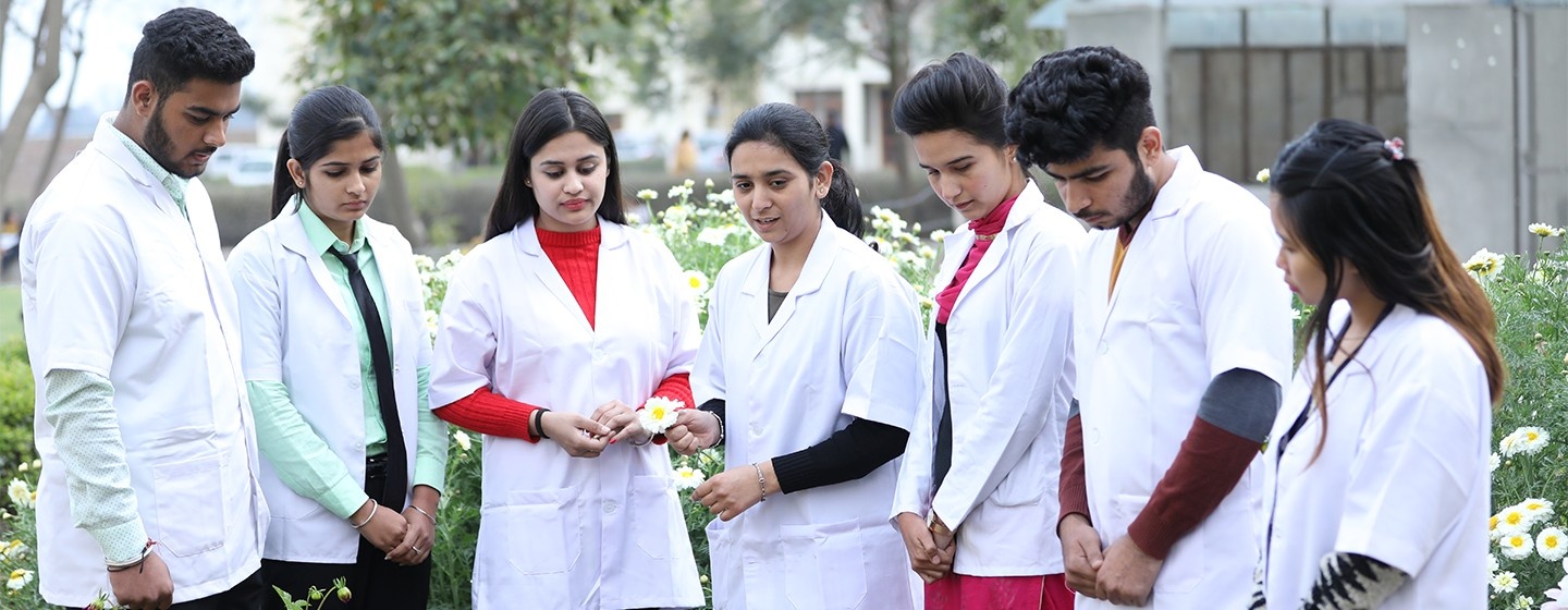 MSc Agronomy at GKU | Best Private Universities in Punjab
