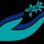 Orchid Medical Centre