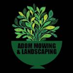 Adom mowing Landscaping
